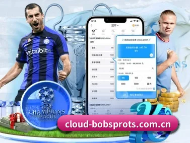 BOB体育app下载 APP 界面